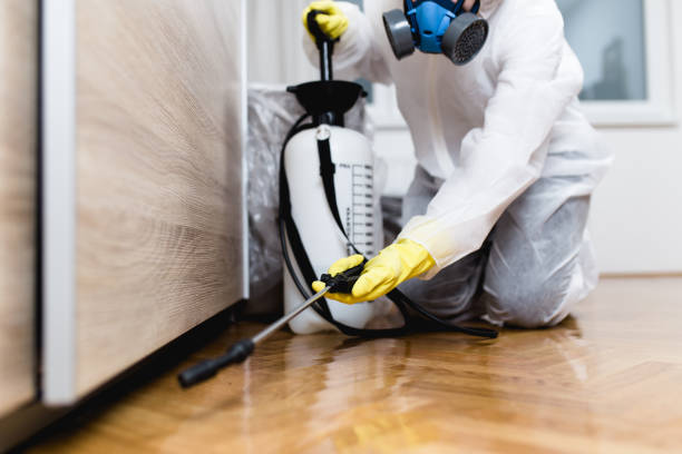 Best Exterminator Services  in Mount Sinai, NY