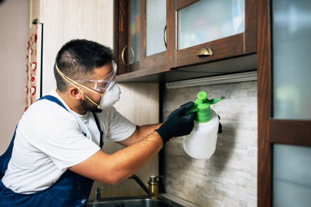 Reliable Mount Sinai, NY Pest Control Solutions