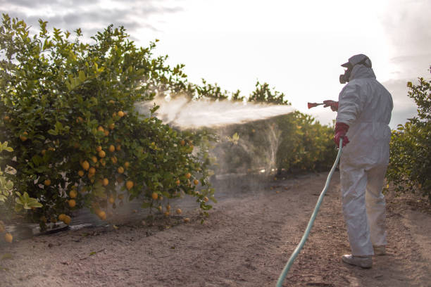 Best Mosquito Control Services  in Mount Sinai, NY