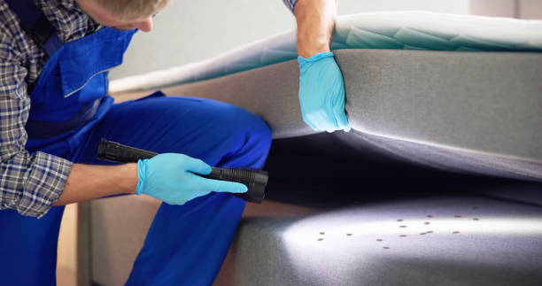 Best Local Pest Control Services  in Mount Sinai, NY