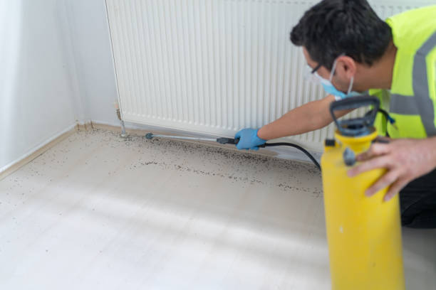 Best Best Pest Control Companies  in Mount Sinai, NY
