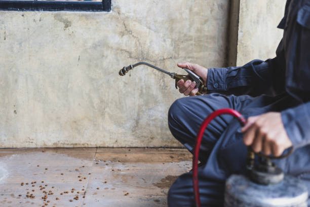 Best Pest Prevention Services  in Mount Sinai, NY